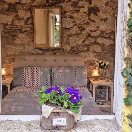 The Cottage San Maurizio D'opaglio Екстериор снимка