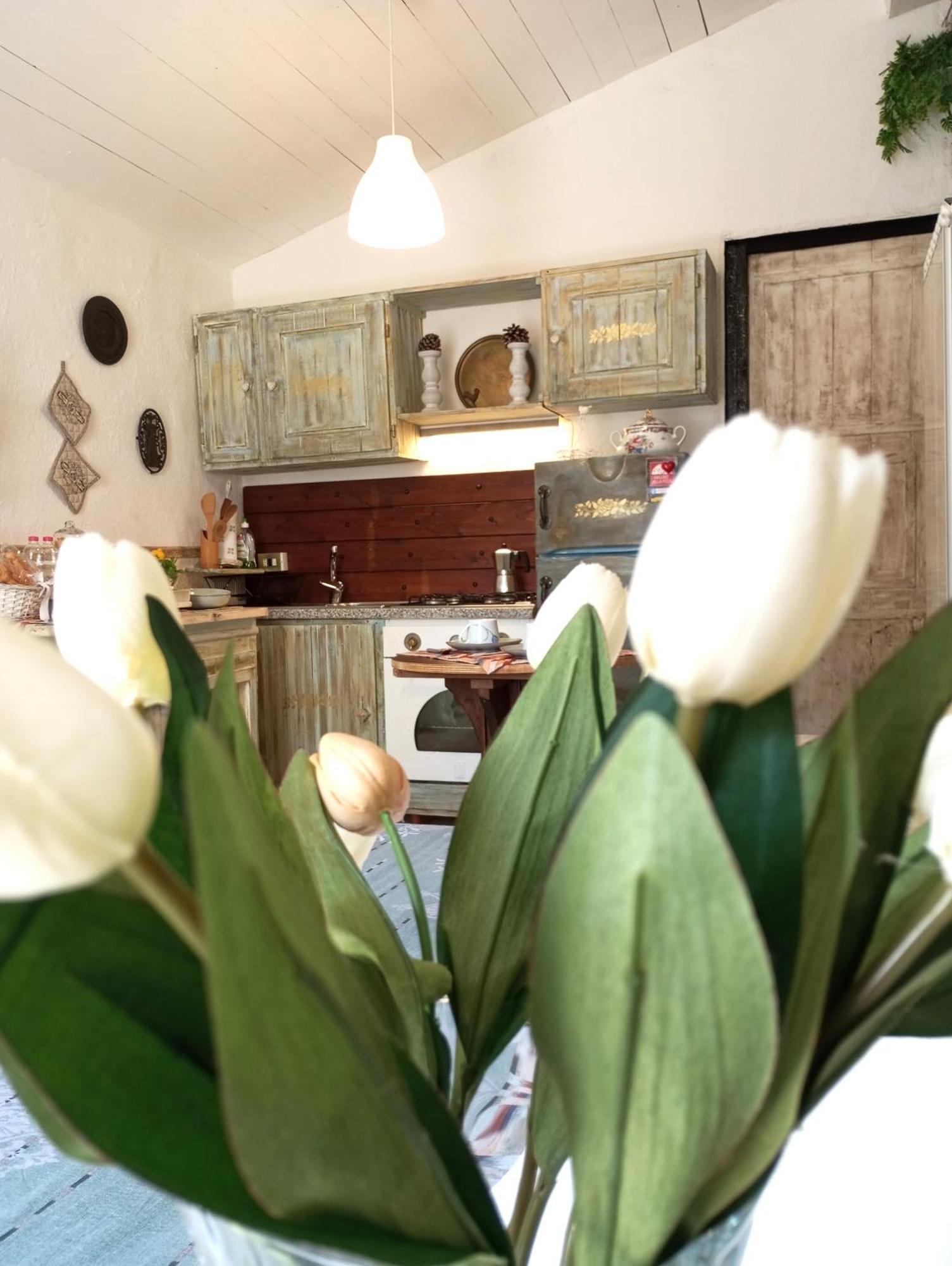 The Cottage San Maurizio D'opaglio Екстериор снимка