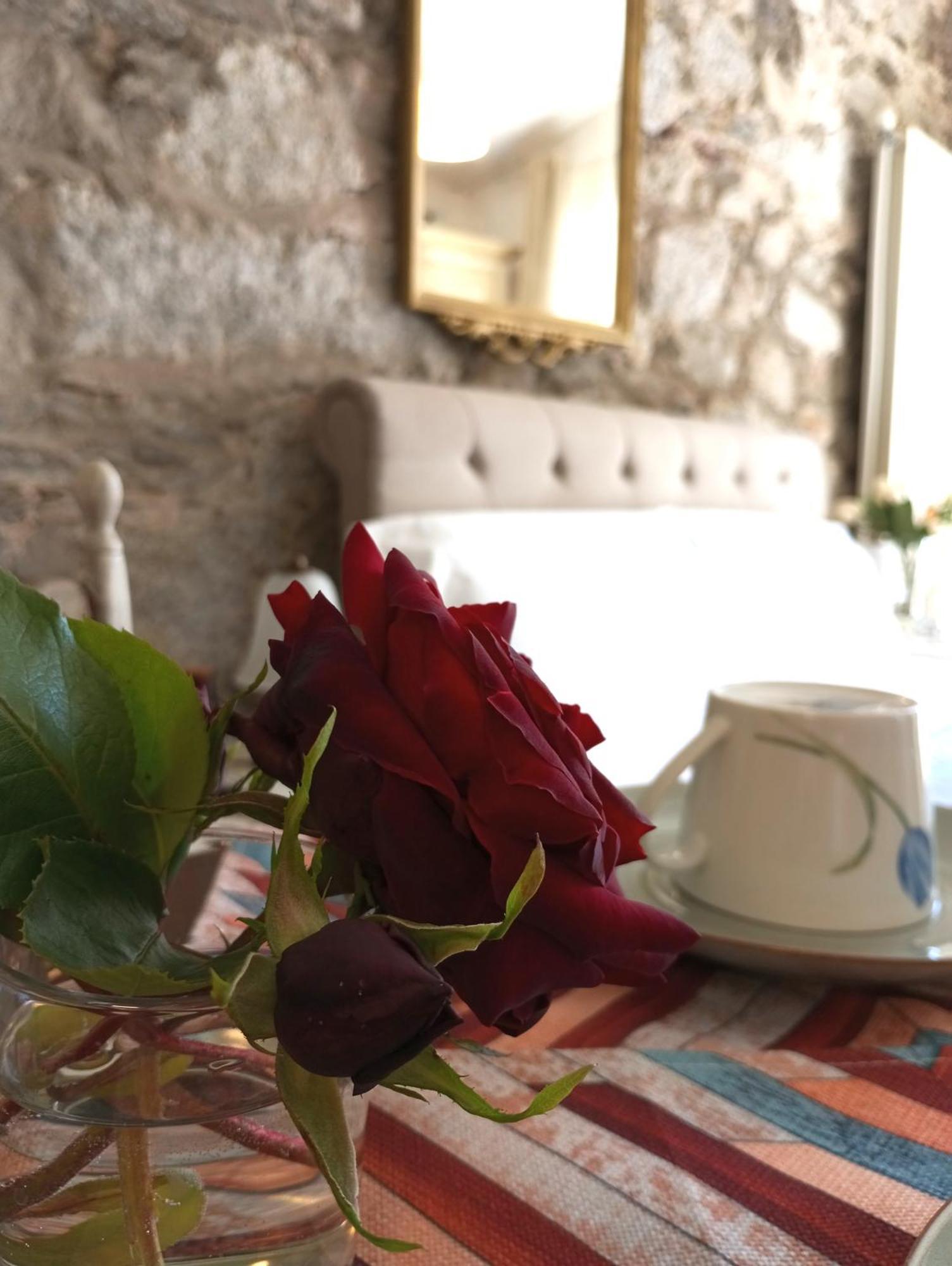 The Cottage San Maurizio D'opaglio Екстериор снимка